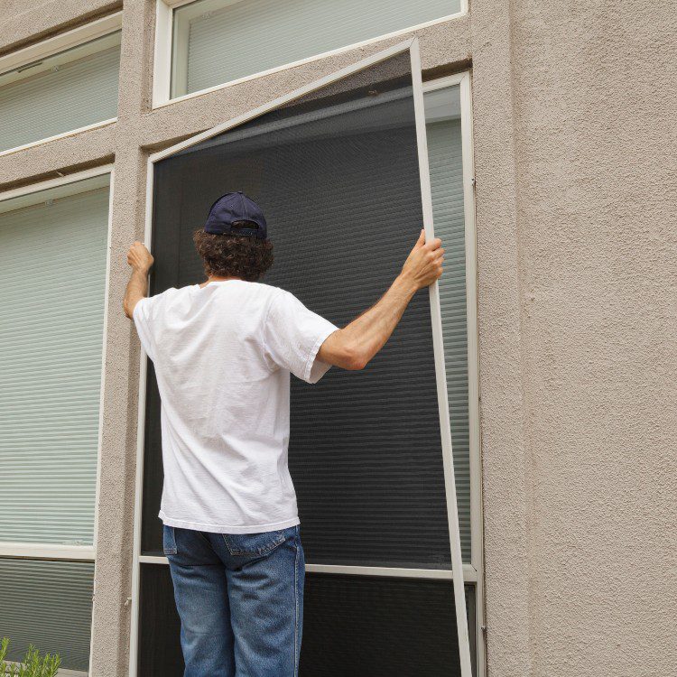 Exterior Cleaning in Scottsdale, AZ Exterior Cleaning in Scottsdale, AZ